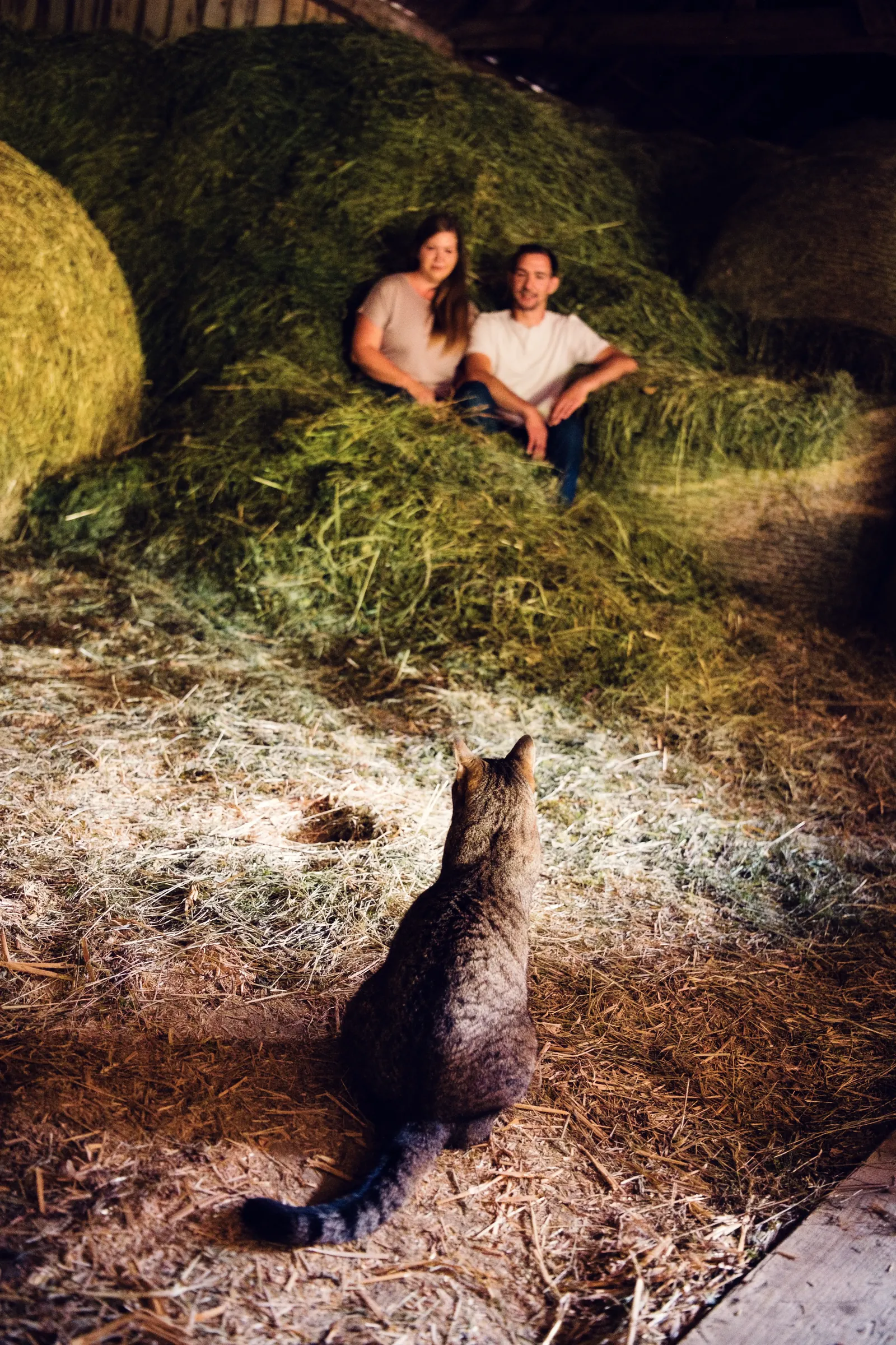 Helen und Philipp im Heu, im Vordergrund sitzt eine Katze